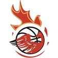 Perth Phoenix Basketball Club logo